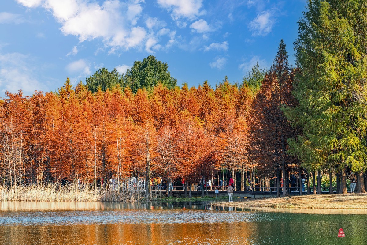 虎丘湿地公园随拍（一）