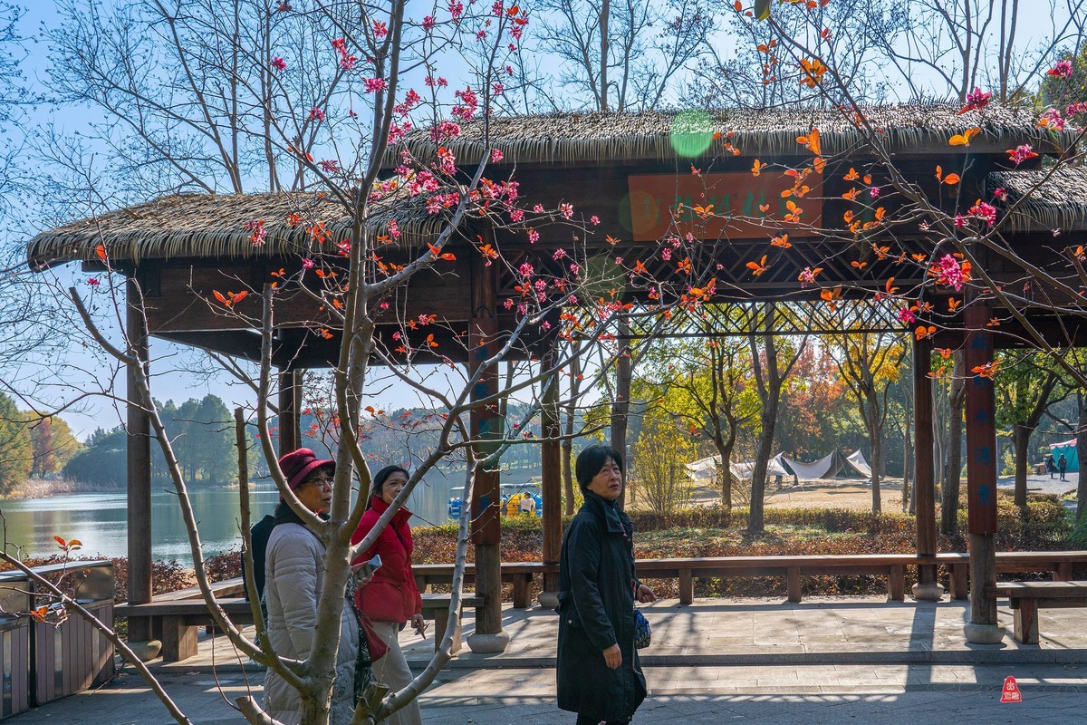 虎丘湿地公园随拍（一）