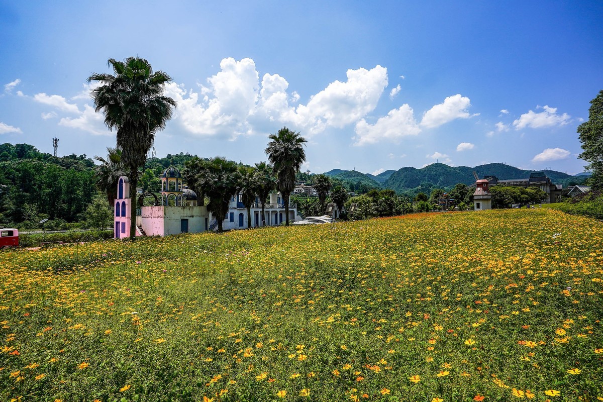 黔江爱丽丝庄园-2