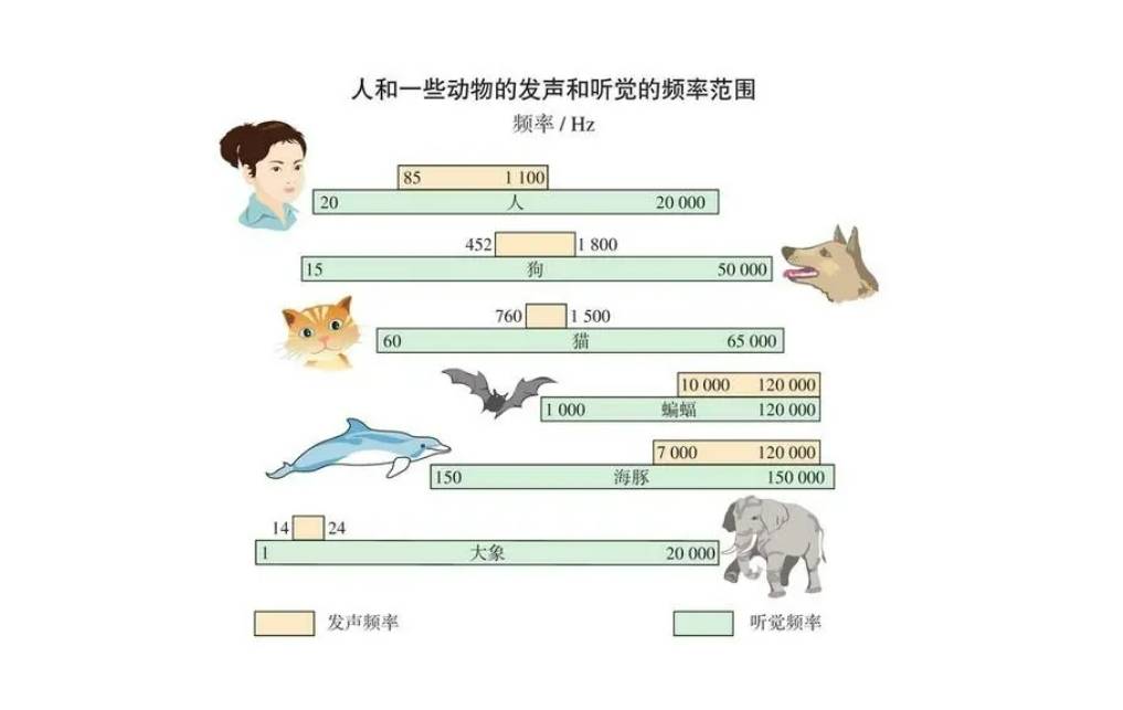 无线领夹麦克风什么牌子好用？一文看懂哪款麦克风音质效果好