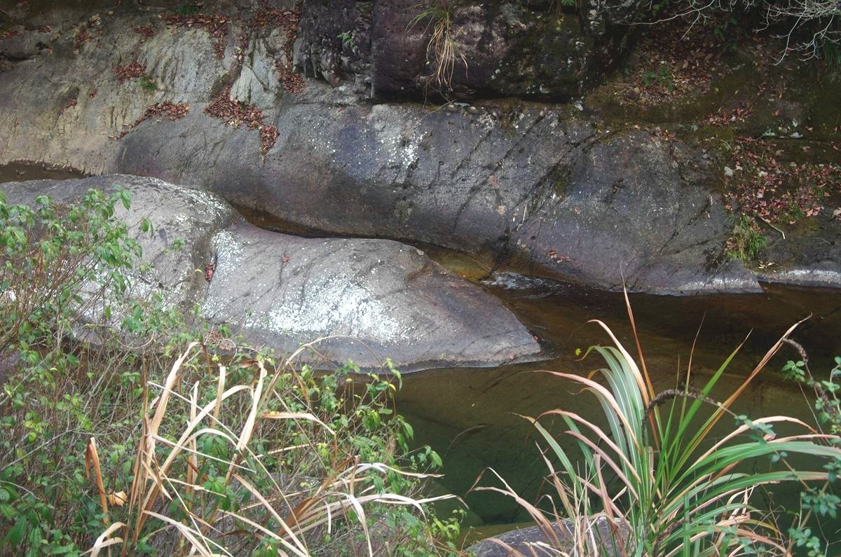 浙西梅树底景区游记--结束篇