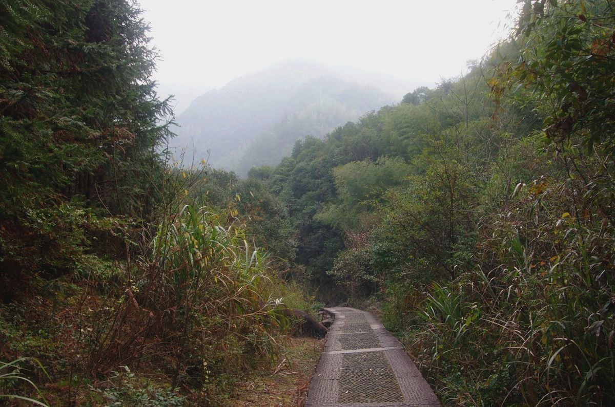 浙西梅树底景区游记--结束篇