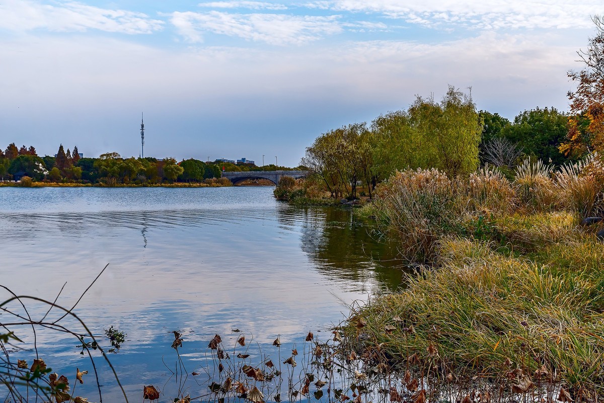 旅游记录 ：江苏 · 无锡 · 蠡园国家湿地公园