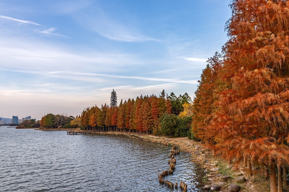 旅游记录 ：江苏 · 无锡 · 蠡园国家湿地公园