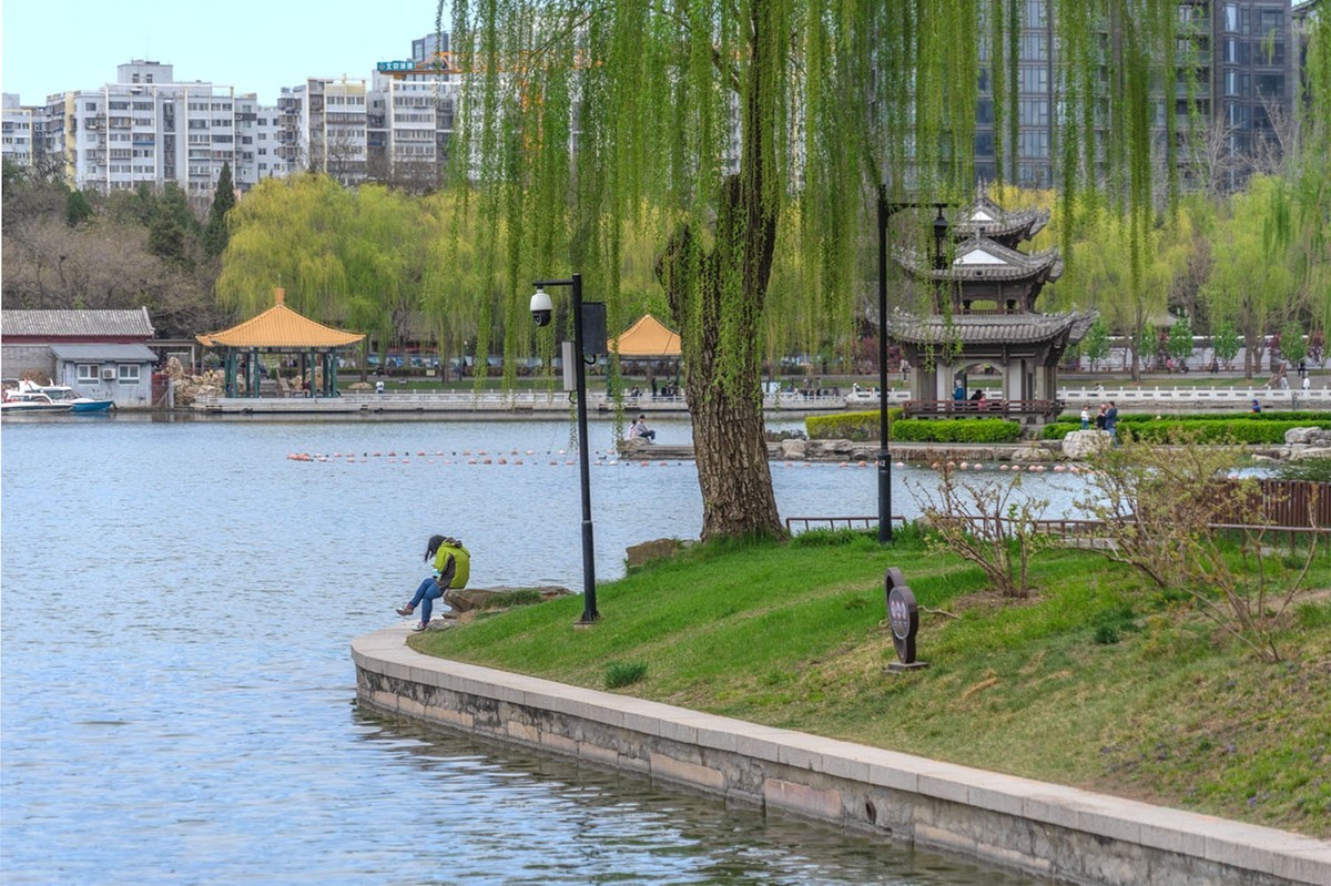 赏花陶然亭（4）