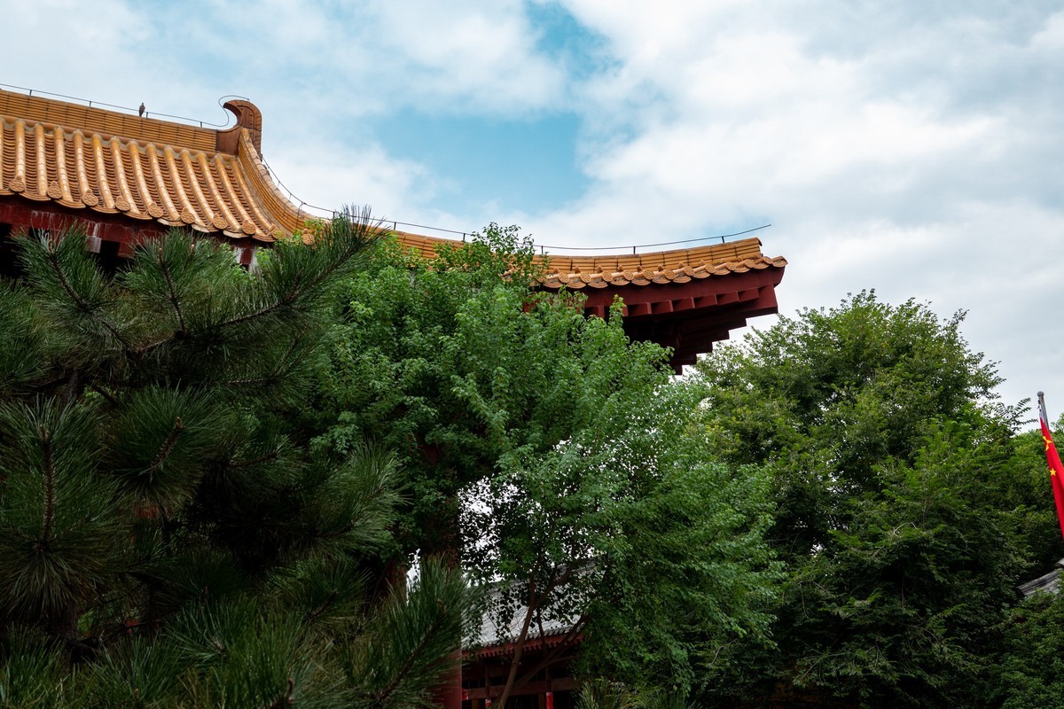 东北行——山东枣庄台儿庄古城（3）