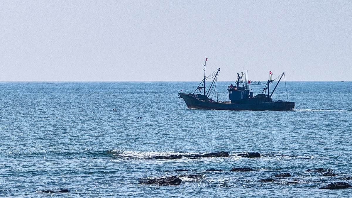 大 连 的 海 ------ 250305 渔 人 码 头 （ 二 ）