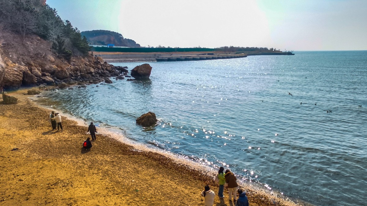 大 连 的 海 ------ 250305 渔 人 码 头 （ 二 ）