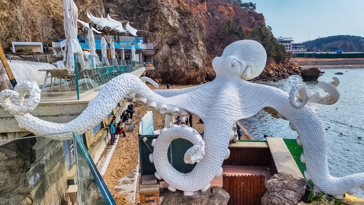 大 连 的 海 ------ 250305 渔 人 码 头 （ 二 ）