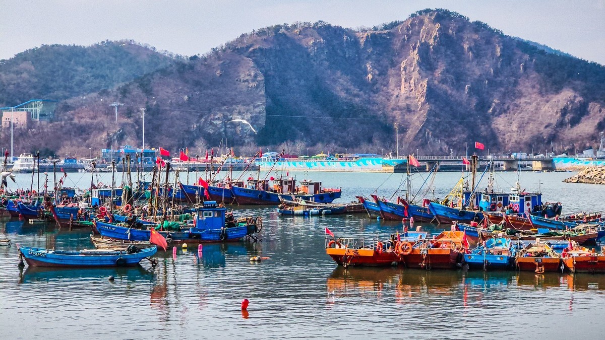 大 连 的 海 ------ 250305 渔 人 码 头 （ 二 ）