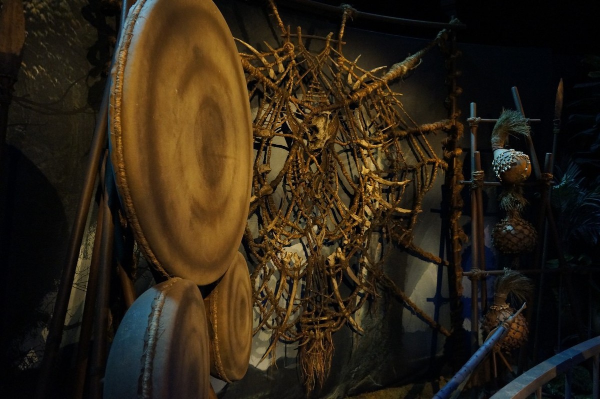 让奇妙延续：阿凡达探秘潘多拉