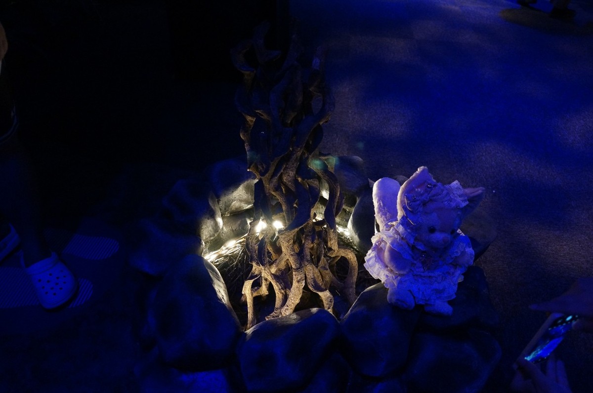 让奇妙延续：阿凡达探秘潘多拉