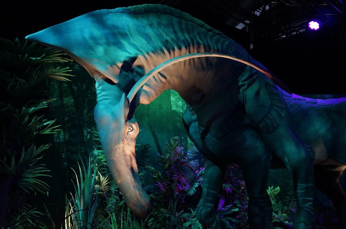 让奇妙延续：阿凡达探秘潘多拉