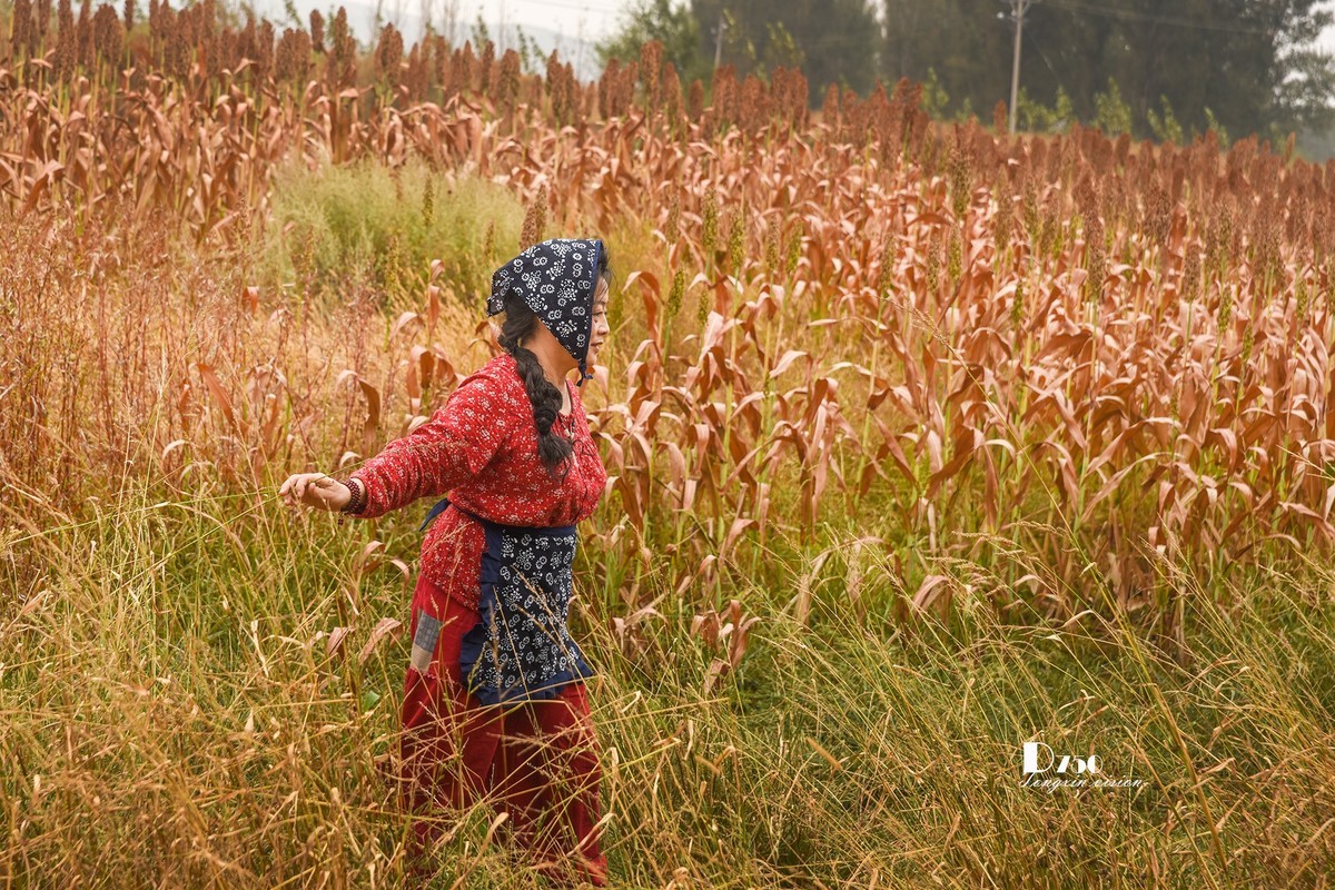 #留住美丽秋天# ——醉了村妇