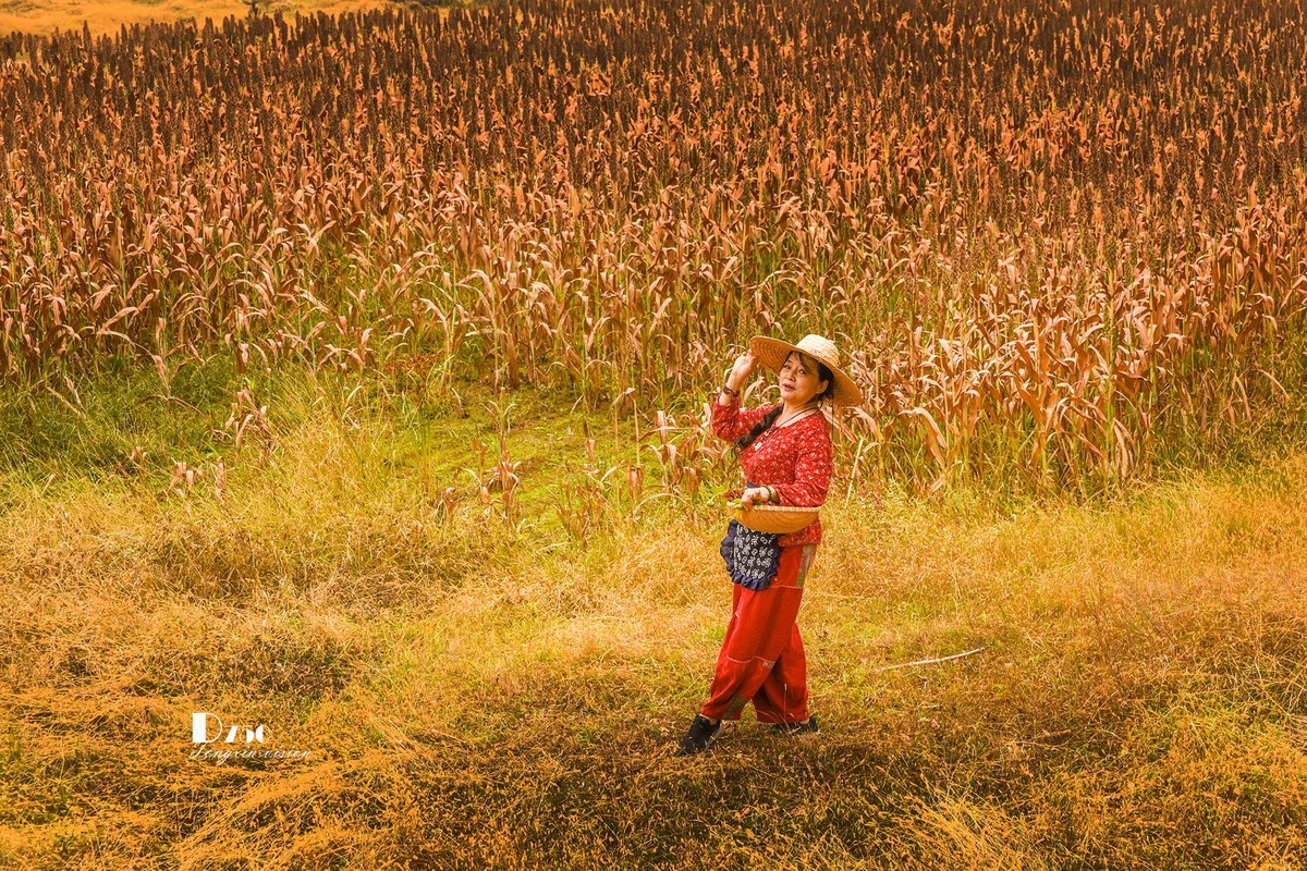 #留住美丽秋天# ——醉了村妇