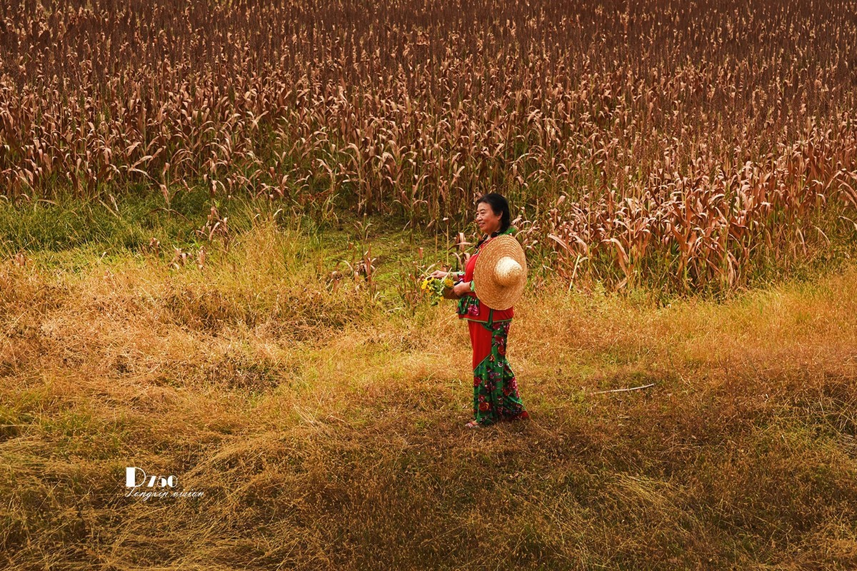 #留住美丽秋天# ——醉了村妇