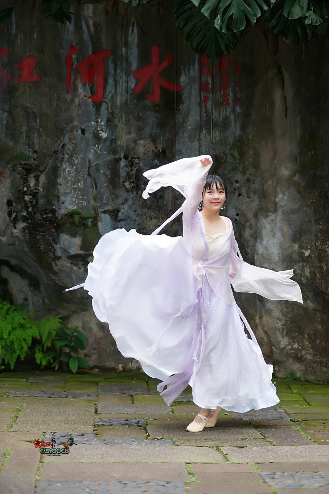 【舞蝶寻花】---隹佳