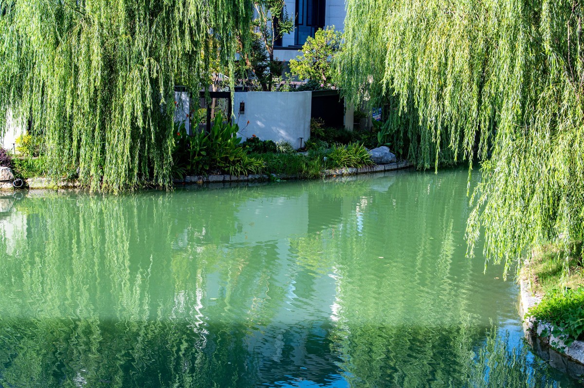 庐州印象（296）塘溪津门水街