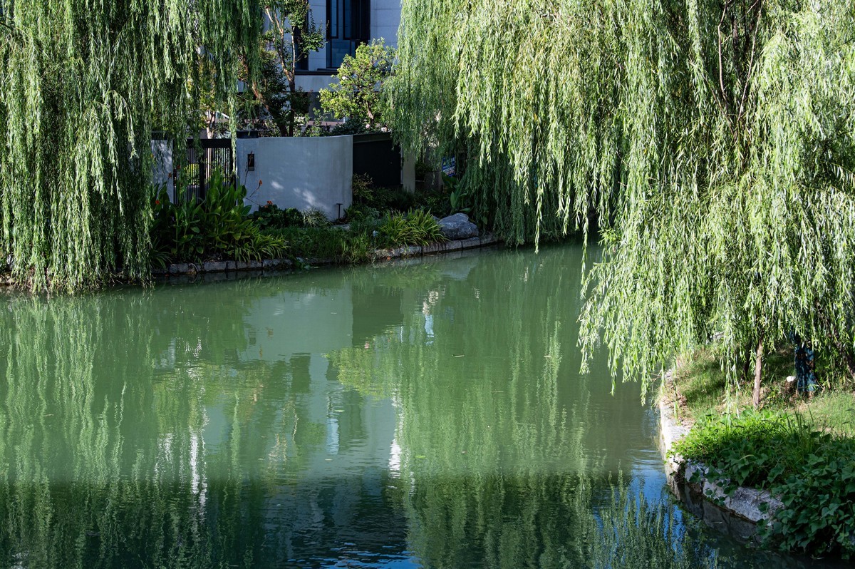 庐州印象（296）塘溪津门水街