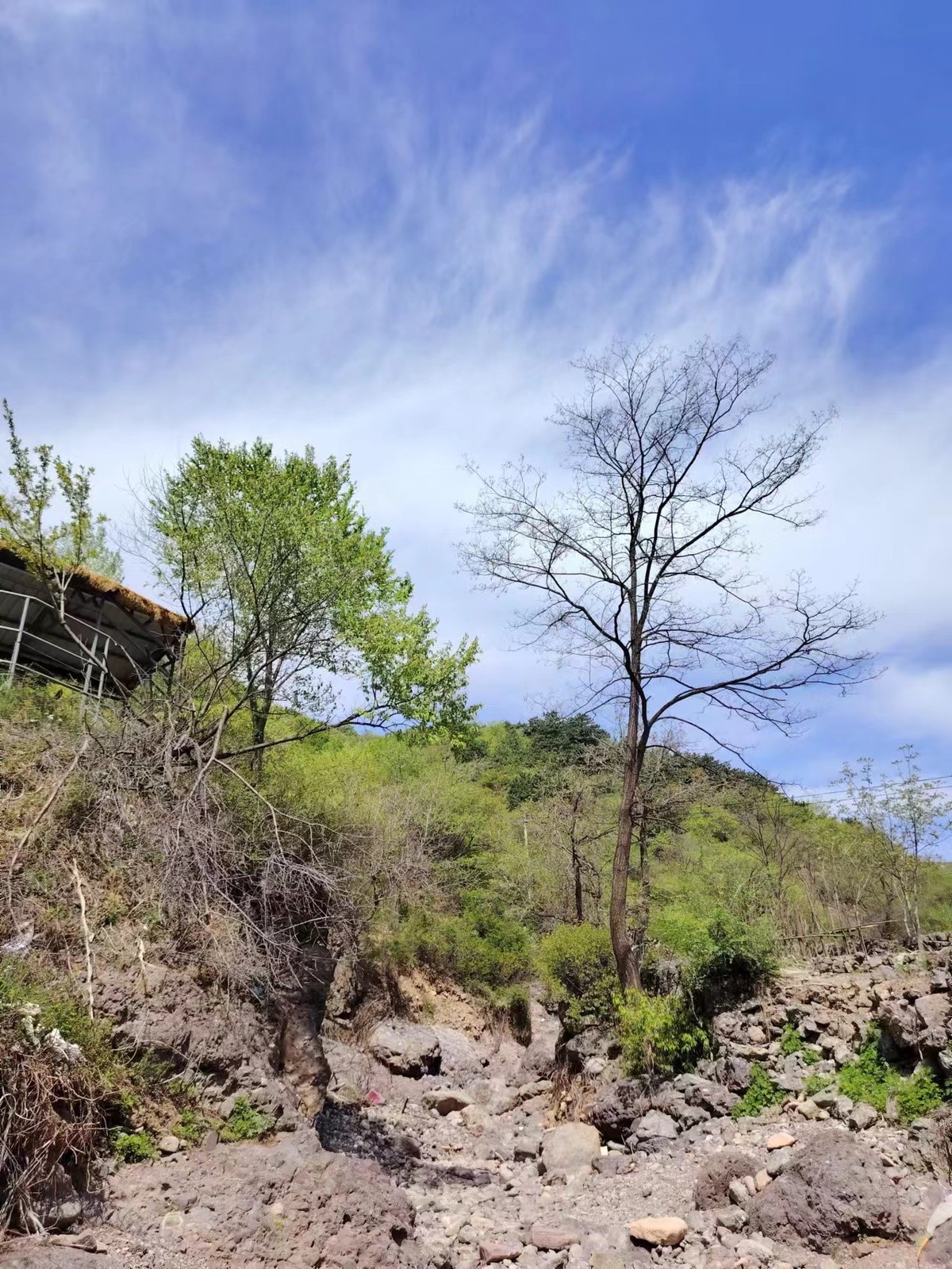 荣耀X50，一亿像素