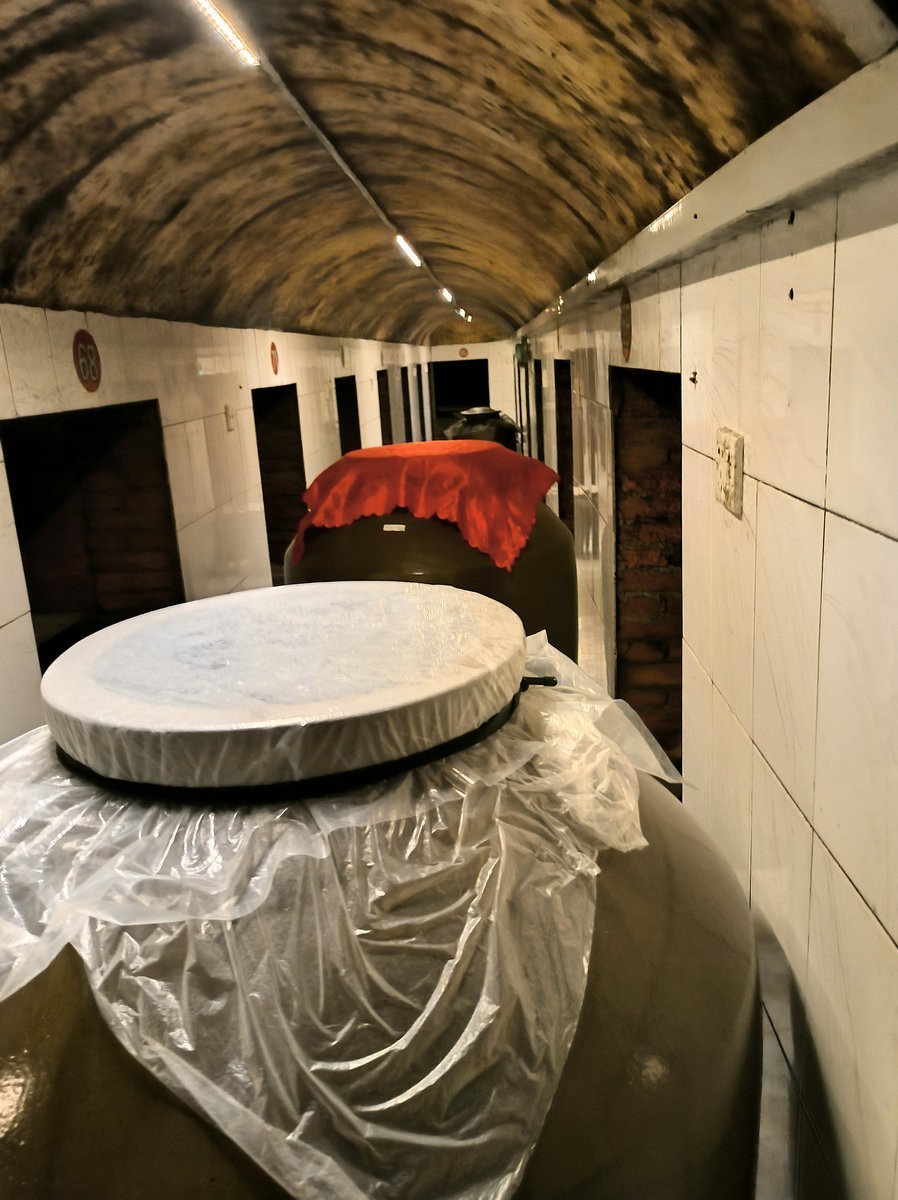 漫步星城 走街串巷（415）参观麻姑井酿酒