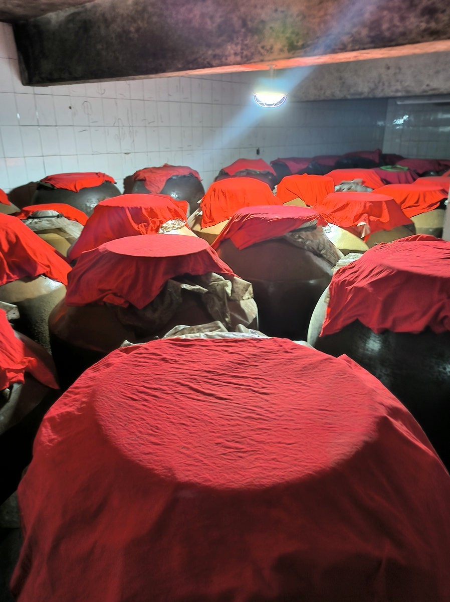 漫步星城 走街串巷（415）参观麻姑井酿酒