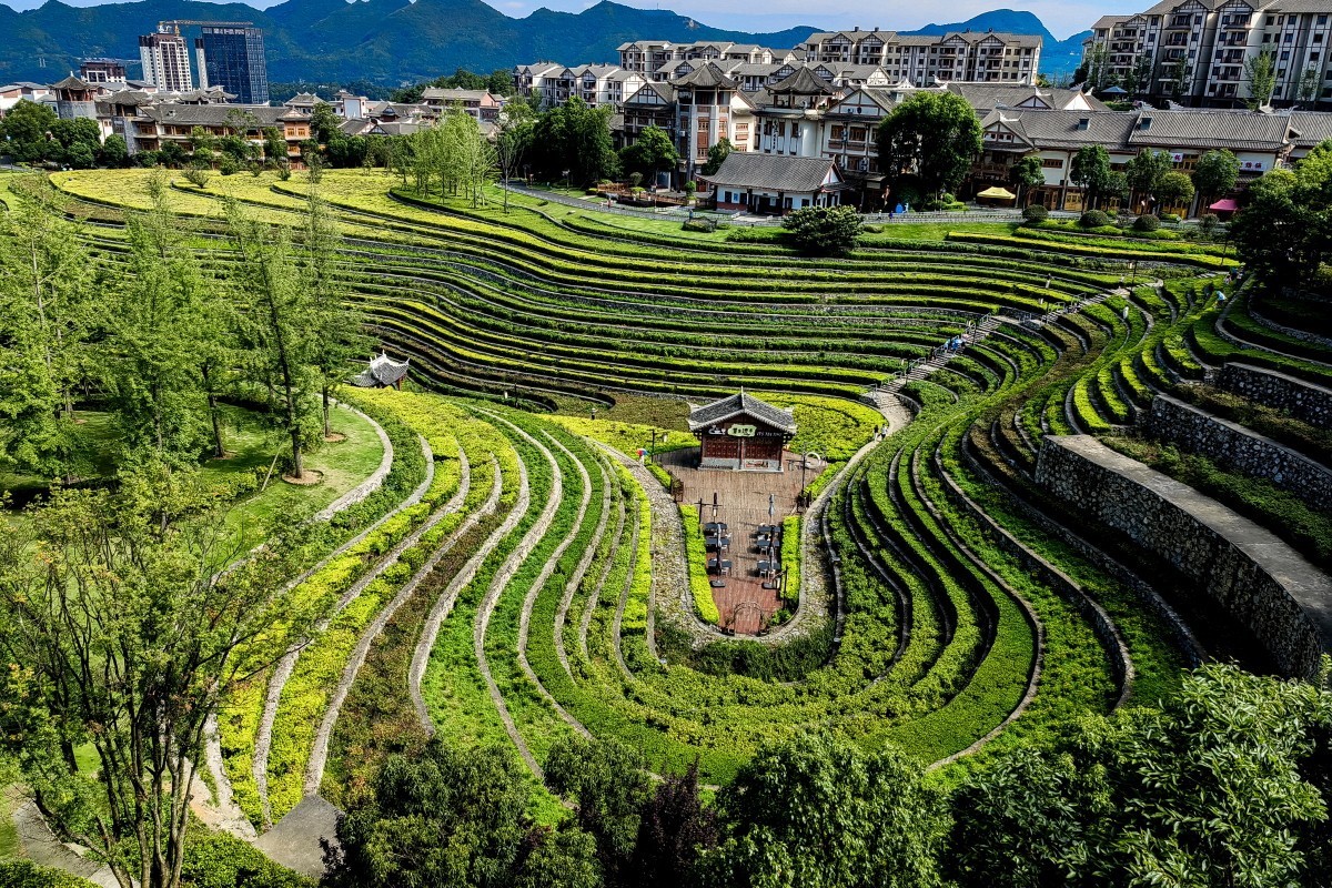 外出随拍（续148）.