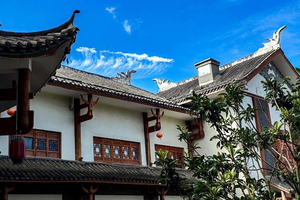 外出随拍（续148）.