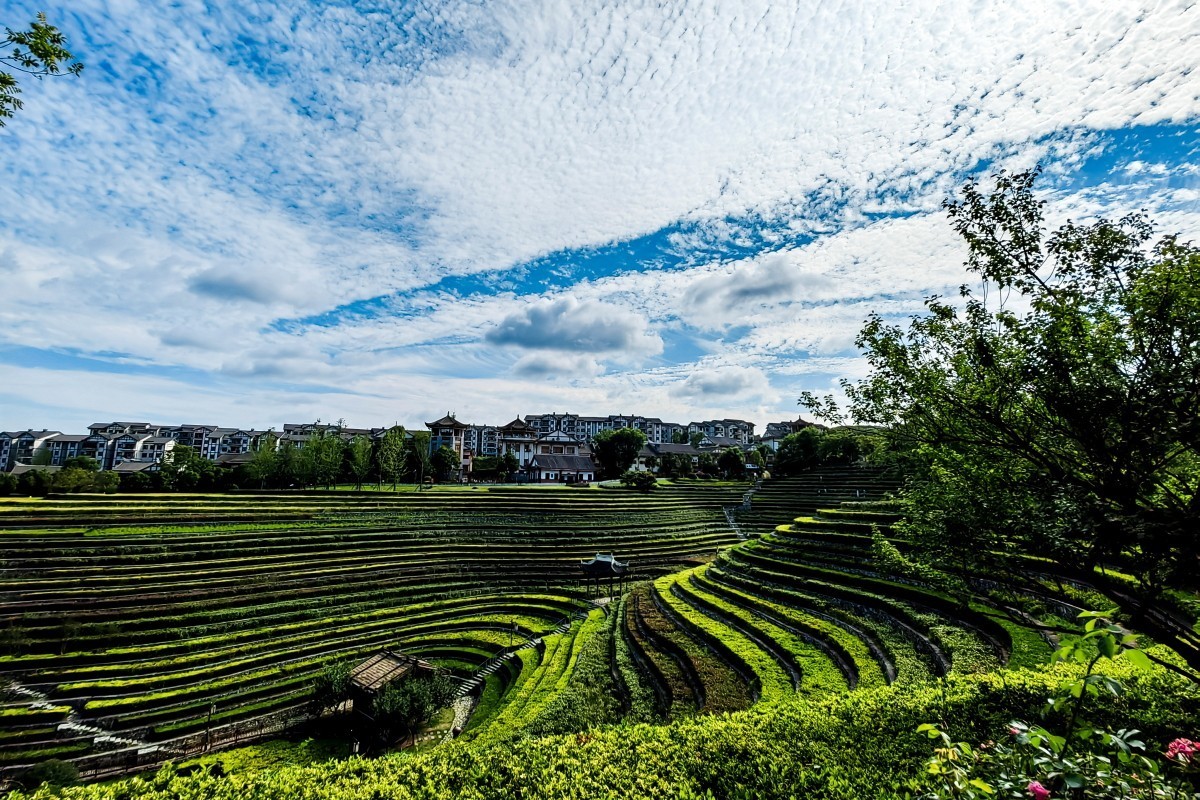 外出随拍（续148）.