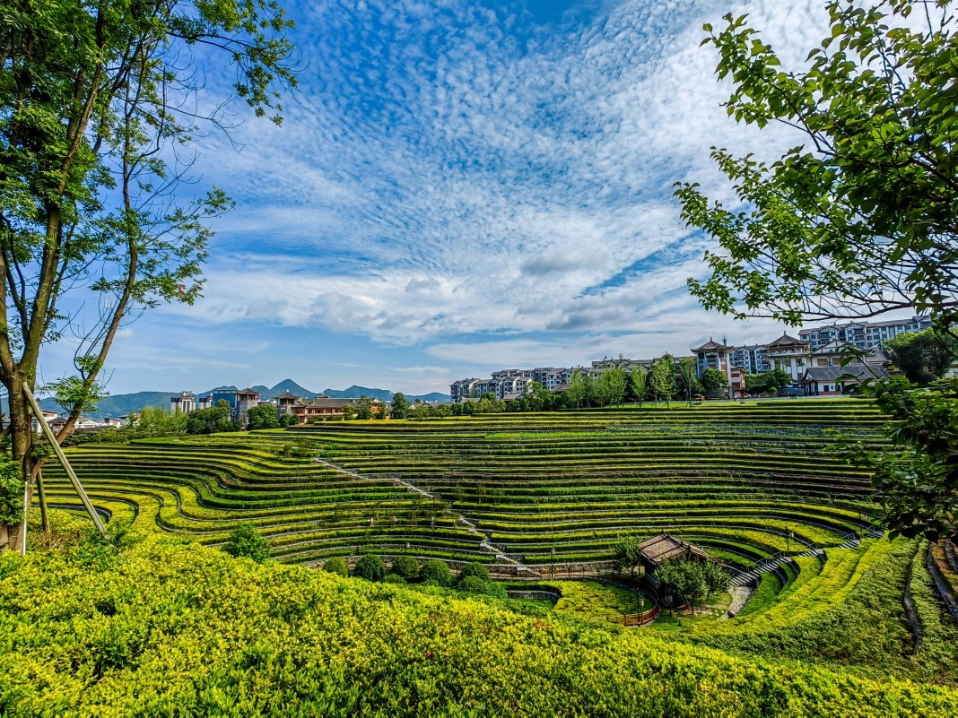 外出随拍（续148）.