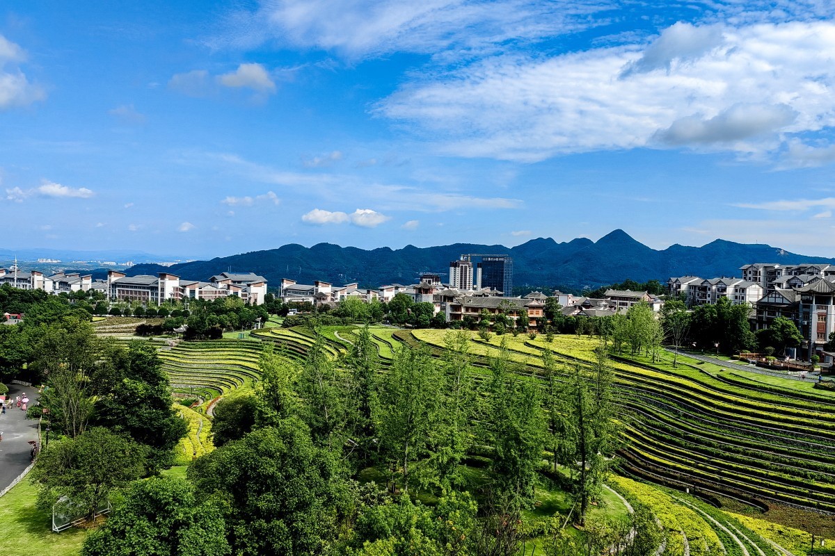 外出随拍（续148）.