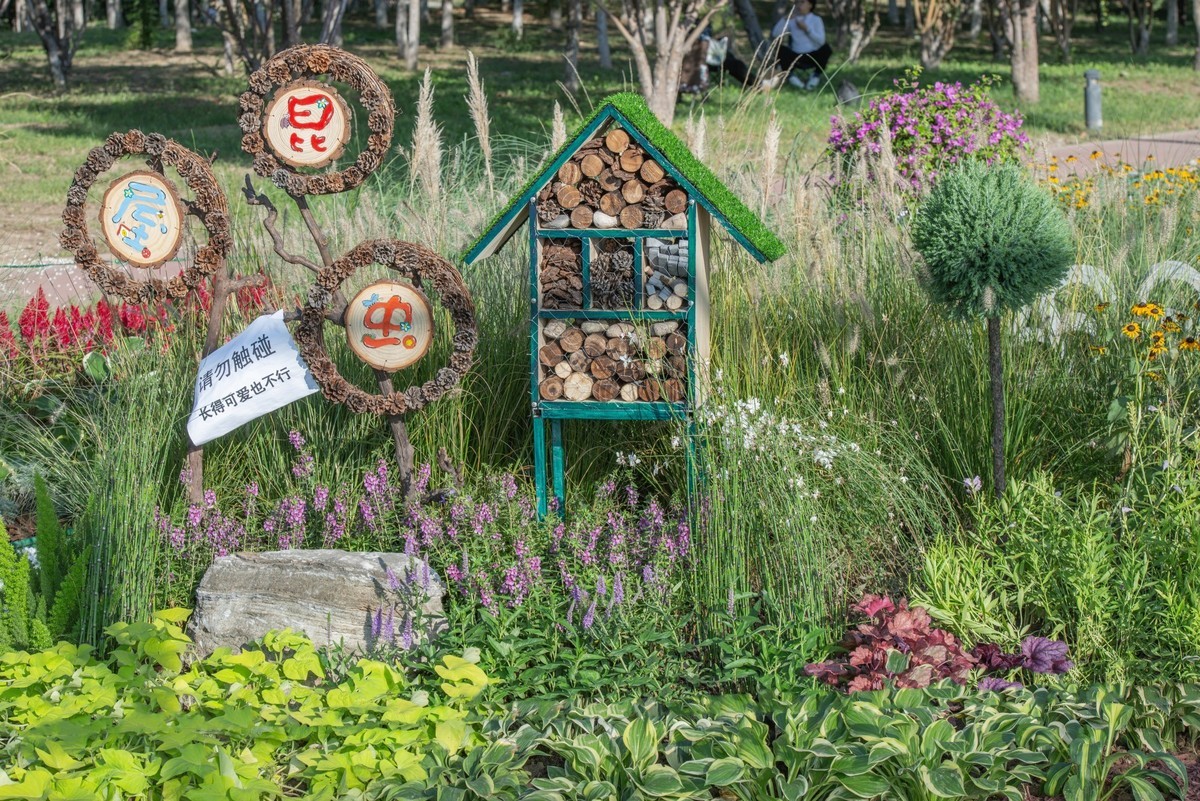 秋日水西公园掠影