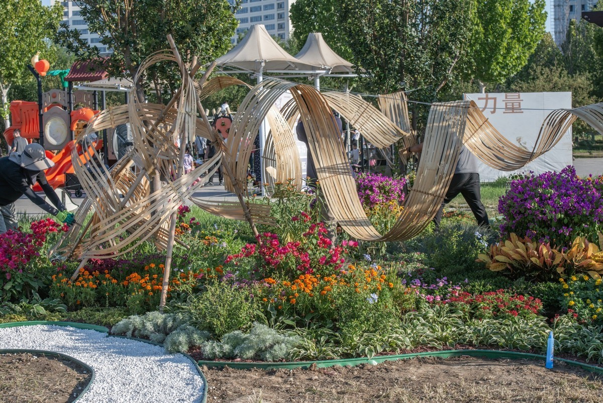 秋日水西公园掠影