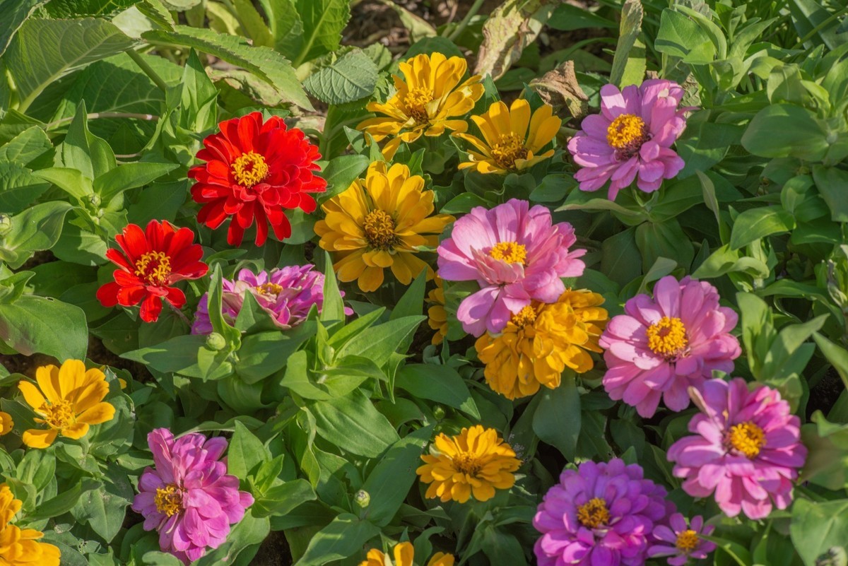 秋日水西公园掠影