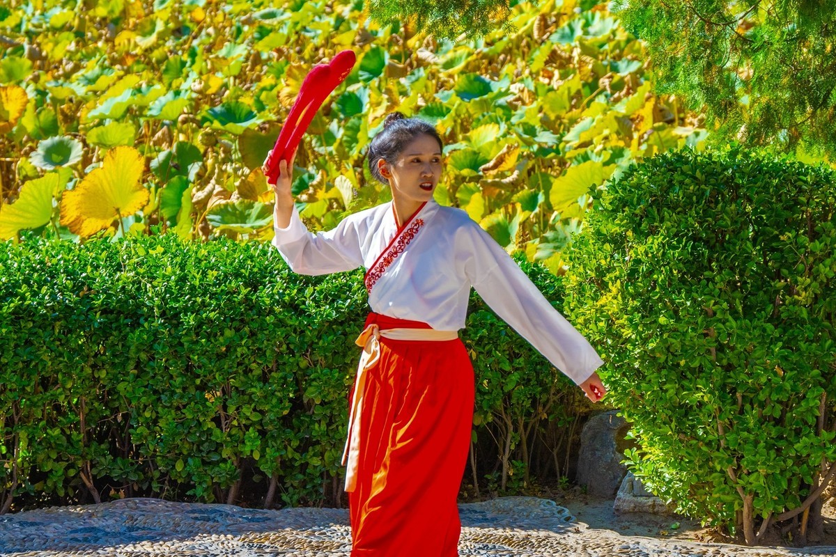 九九重阳节—(活动抓拍)