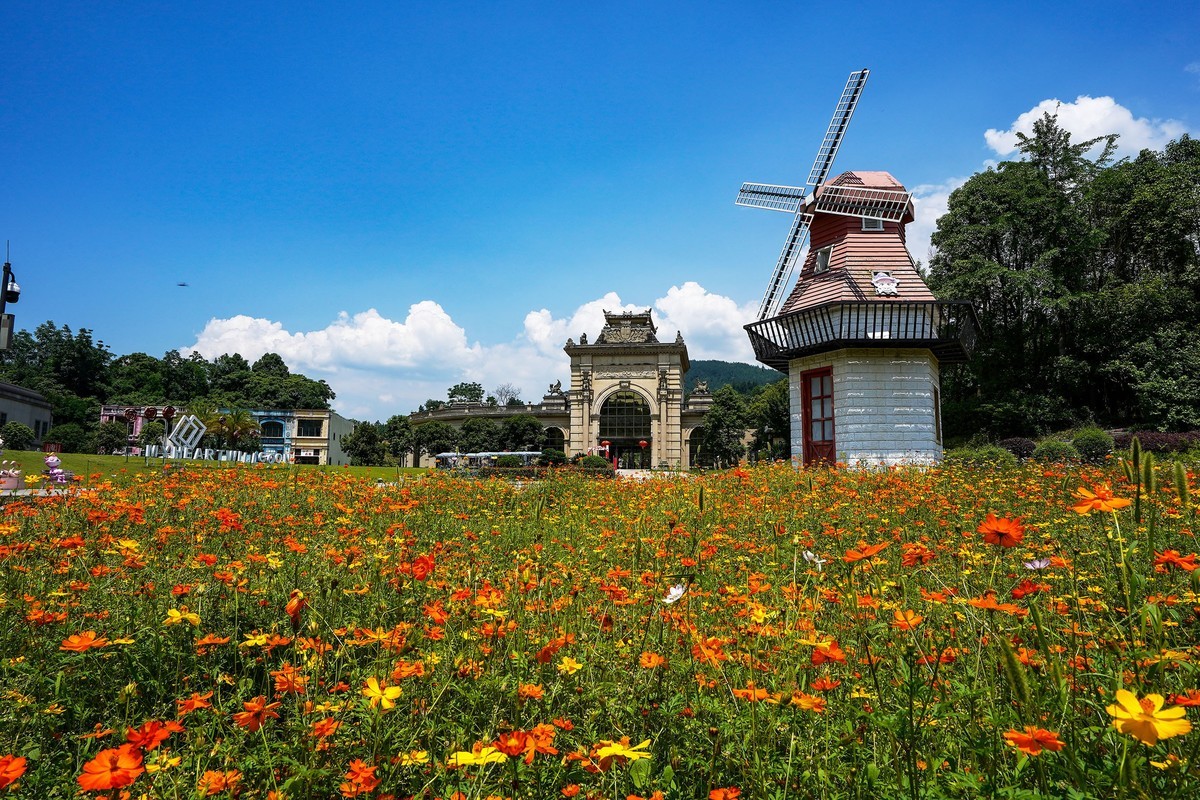黔江爱丽丝庄园-2