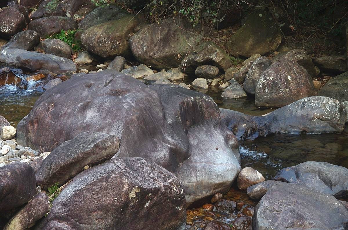 浙西梅树底景区游记--结束篇