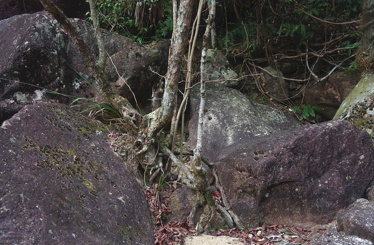 浙西梅树底景区游记--结束篇