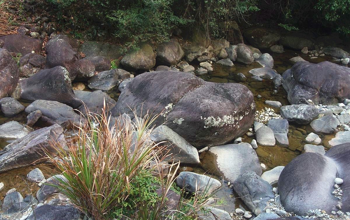 浙西梅树底景区游记--结束篇