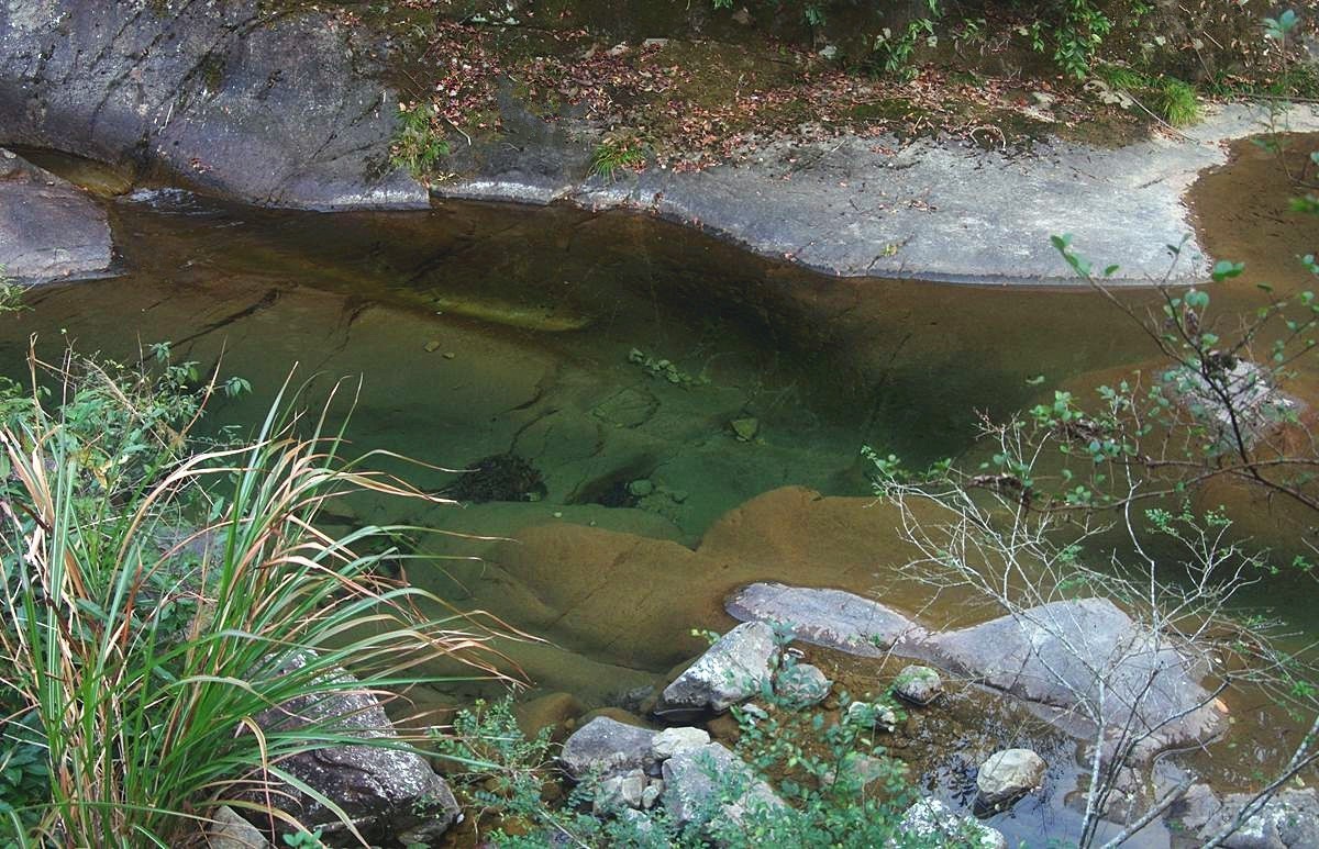 浙西梅树底景区游记--结束篇