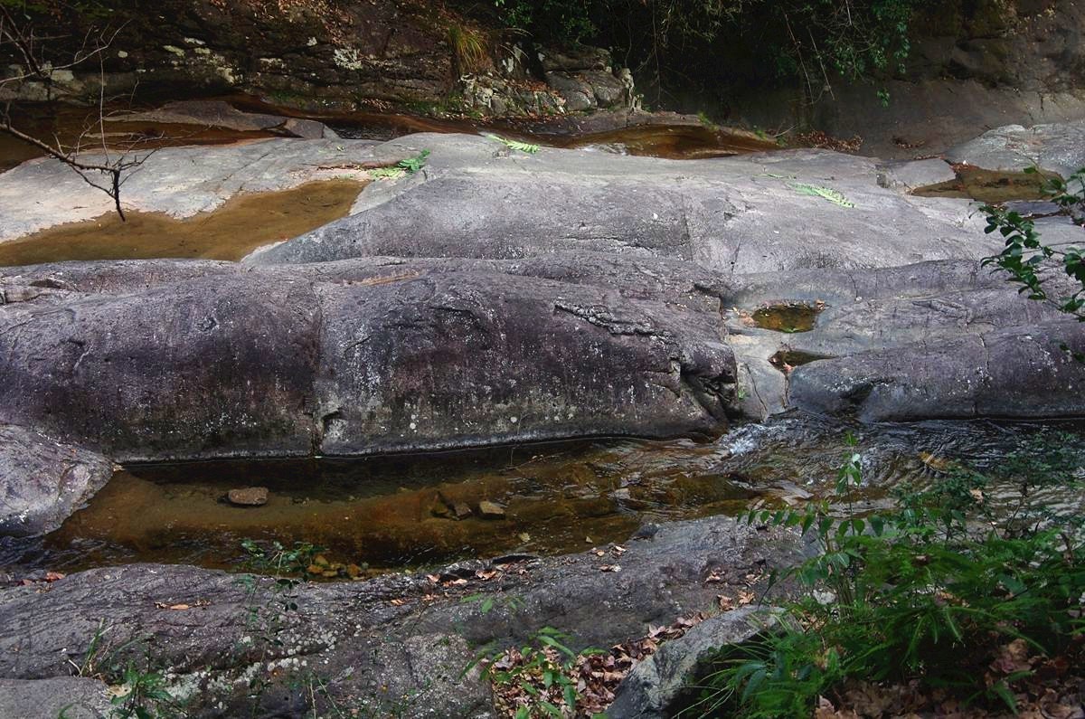 浙西梅树底景区游记--结束篇