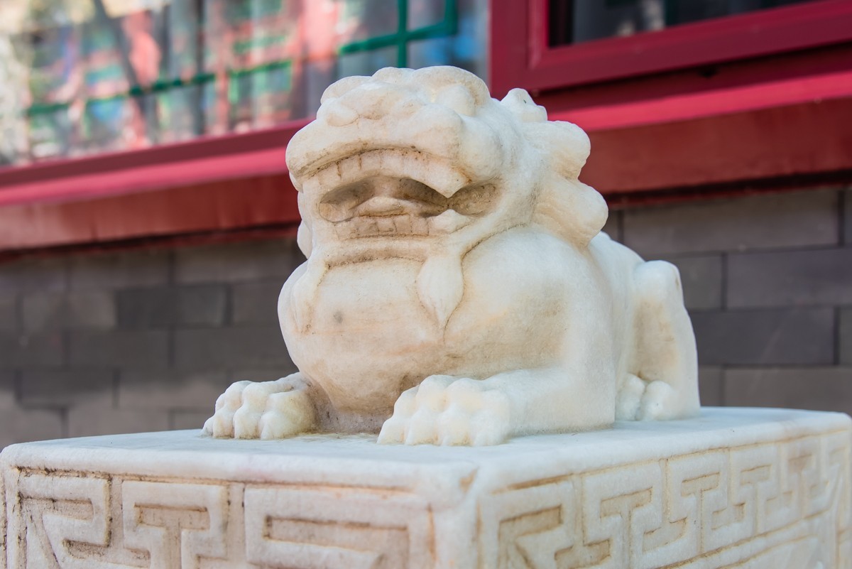 【镜头里】第1356号：唐山·运河唐人街掠影（三）