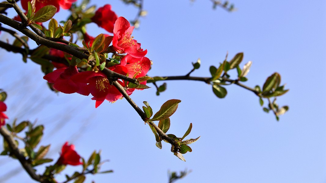 好久没发贴了，冒个泡，请指教