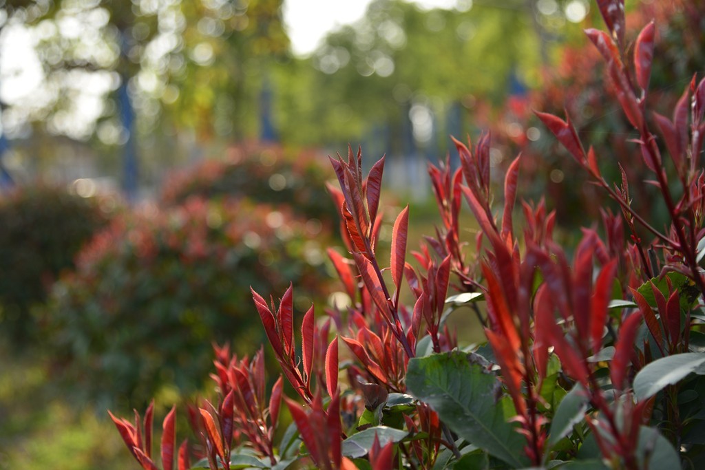 好久没发贴了，冒个泡，请指教