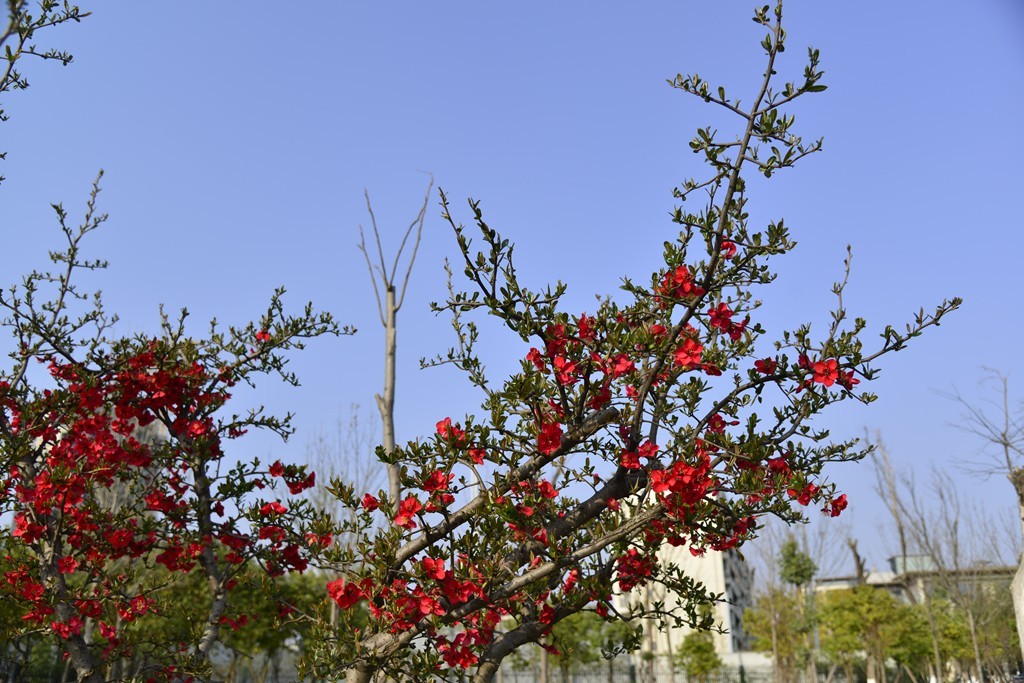 好久没发贴了，冒个泡，请指教