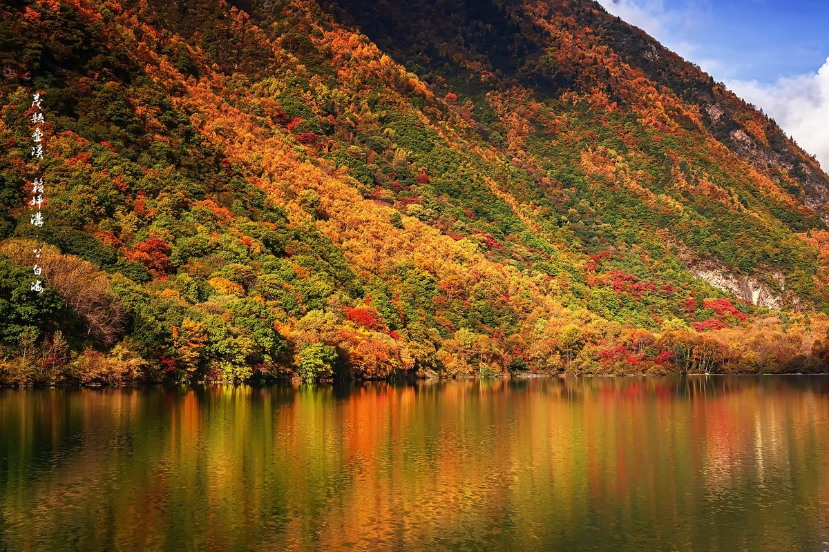 川西茂县：层林尽染松坪沟之上白腊海