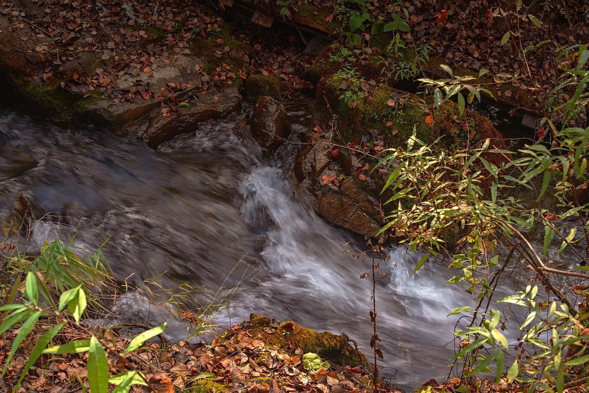 川西茂县：层林尽染松坪沟之上白腊海