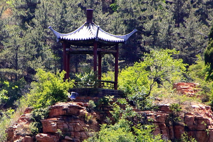 《不老松：纪实摄影》【大好河山系列报導】邯郸游摄！京娘湖景区！  (11)在游船上打到