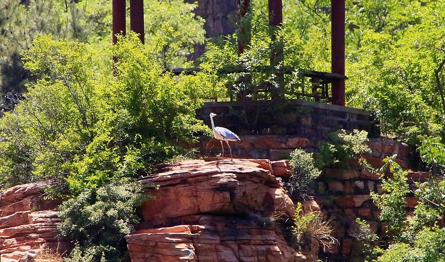 《不老松：纪实摄影》【大好河山系列报導】邯郸游摄！京娘湖景区！  (11)在游船上打到