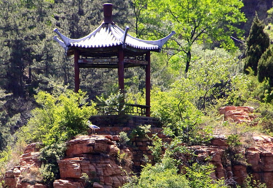 《不老松：纪实摄影》【大好河山系列报導】邯郸游摄！京娘湖景区！  (11)在游船上打到